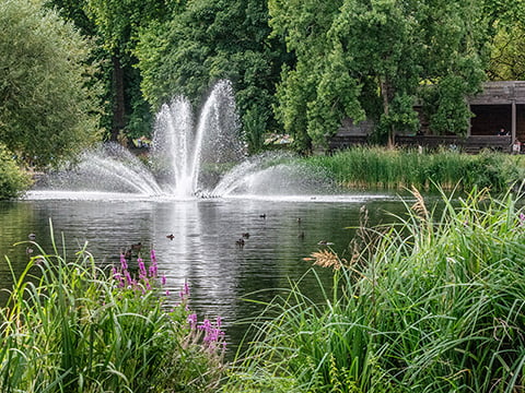 St James’s Park photo by Troy David Johnston