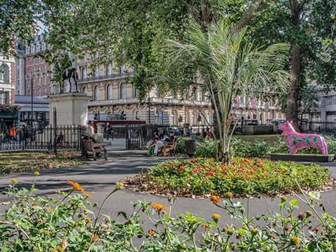 Lower Grosvenor Gardens photo by Troy David Johnston